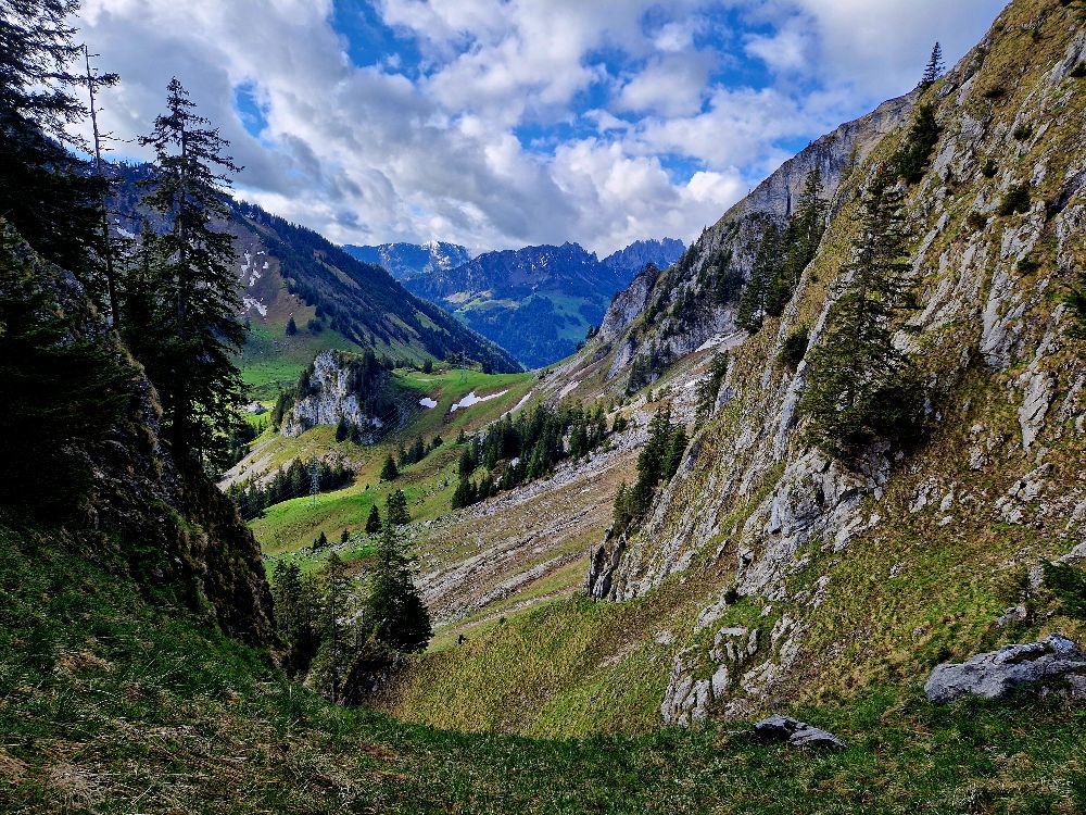 3.%20Aufstieg%20steile%20Grassflanke 3.%20Aufstieg%20steile%20Grassflanke